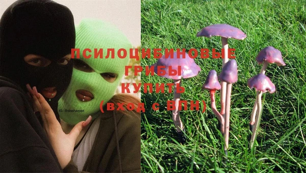 стафф Белоозёрский