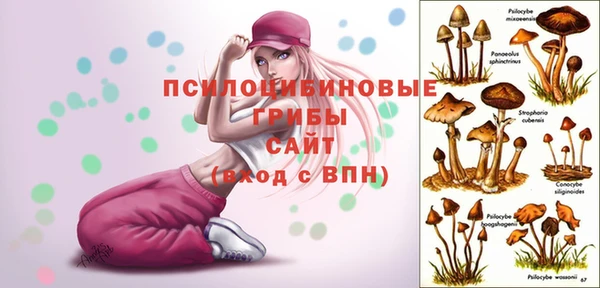spice Беломорск